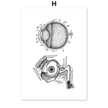 Load image into Gallery viewer, Skeleton Muscle Fingers Eye Black And White Anatomy Wall Art Canvas Painting Nordic Posters And Prints Wall Pictures Decor - SallyHomey Life's Beautiful