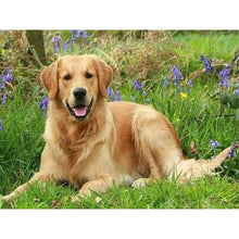 Load image into Gallery viewer, DIY 5D Diamond Painting Animal Diamond Embroidery Golden Retriever Dog Cross Stitch Full Round Drill Picture Mosaic Rhinestone - SallyHomey Life's Beautiful