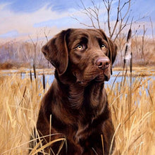 Load image into Gallery viewer, DIY 5D Diamond Painting Dog Labrador Animal Diamond Embroidery Cross Stitch Kit Full Round Mosaic Pictures Rhinestone Home Decor