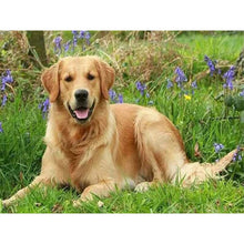 Load image into Gallery viewer, DIY 5D Diamond Painting Golden Retriever Dog Diamond Embroidery Cross Stitch Kits Animal Mosaic Full Round Rhinestone Home Decor - SallyHomey Life's Beautiful