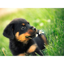 Load image into Gallery viewer, DIY 5D Diamond Painting Dog Mosaic Full Round Drill Cross Stitch Rottweiler Animal Diamond Embroidery Rhinestones Wall Sticker - SallyHomey Life's Beautiful