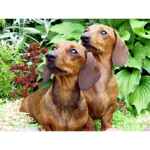 Load image into Gallery viewer, DIY 5D Diamond Painting Dog Diamond Embroidery Cute Dachshund Dogs Animal Mosaic Cross Stitch Full Round Rhinestone Decor Home - SallyHomey Life's Beautiful