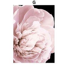 Load image into Gallery viewer, Pink Petal Dahlia Daisy Rose Nature Plant Nordic Posters And Prints Wall Art Canvas Painting Pictures For Home Design Bedroom - SallyHomey Life's Beautiful