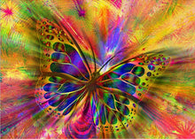 Load image into Gallery viewer, DIY 5D Diamond Painting Butterfly Animal Mosaic Full Round Rhinestone Diamond Embroidery Flowers Cross Stitch Kits Home Decor - SallyHomey Life's Beautiful