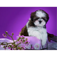 Load image into Gallery viewer, DIY 5D Diamond Painting dog Animal Cross Stitch Diamond Embroidery full round drill Rhinestones art Wall Sticker home decor