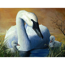 Load image into Gallery viewer, DIY 5D Diamond Painting Swan Landscape Full Round Diamond Embroidery Animal Mosaic Rhinestones Cross Stitch Picture Home Decor - SallyHomey Life's Beautiful