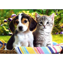 Load image into Gallery viewer, Diy 5D Diamond Painting Dog Diamond Embroidery Animal Cross Stitch Full Round Drill Mosaic Rhinestone Home Decor Handmade Gift