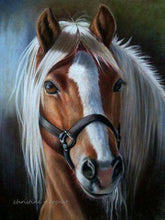 Load image into Gallery viewer, DIY 5D Diamond Painting Horse Full Round Diamond Embroidery Animal Mosaic Picture Cross Stitch Rhinestone Handmade Home Decor - SallyHomey Life's Beautiful