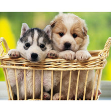 Load image into Gallery viewer, 5D DIY Diamond Painting Dog Diamond Embroidery Animal Mosaic Full Round Drill Cross Stitch Kits Rhinestone Picture Handmade Gift