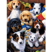Load image into Gallery viewer, DIY 5D Diamond Painting Golden Retriever Dog Full Round Drill Cross Stitch Diamond Embroidery Animal Mosaic Rhinestones Decor