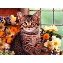 Load image into Gallery viewer, 5D Diamond Painting Cross Stitch Full Round Drill Lovely Cat Diamond Embroidery Mosaic DIY Cross Stitch Kits Wall Art