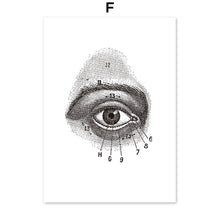 Load image into Gallery viewer, Skeleton Muscle Fingers Eye Black And White Anatomy Wall Art Canvas Painting Nordic Posters And Prints Wall Pictures Decor - SallyHomey Life's Beautiful