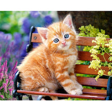 Load image into Gallery viewer, 5D Diamond Painting Cross Stitch Full Round Drill Lovely Cat Diamond Embroidery Mosaic DIY Cross Stitch Kits Wall Art