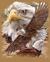 Load image into Gallery viewer, DIY Eagle 5D Diamond Painting Owl Diamond Embroidery Animal Cross Stitch Kits Full Round Drill Mosaic Art Wall Home Decor - SallyHomey Life's Beautiful