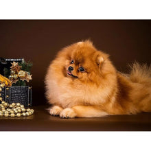 Load image into Gallery viewer, DIY 5D Diamond Painting Dog Animal Diamond Embroidery Cross Stitch Rhinestone Picture Mosaic Full Round Drill Manual Hobby Gift