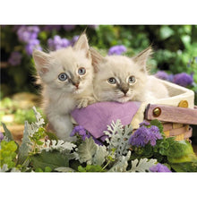 Load image into Gallery viewer, 5D Diamond Painting Cross Stitch Full Round Drill Lovely Cat Diamond Embroidery Mosaic DIY Cross Stitch Kits Wall Art
