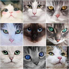Load image into Gallery viewer, DIY 5D Diamond Painting Cat Face Animal Mosaic Diamond Embroidery Cross Stitch Full Round Rhinestone Art Wall Sticker Home Decor - SallyHomey Life's Beautiful