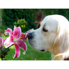 Load image into Gallery viewer, DIY 5D Diamond Painting Dog Diamond Embroidery Golden Retriever Dogs Animal Mosaic Cross Stitch Full Round Rhinestone Child Gift - SallyHomey Life's Beautiful