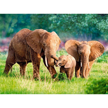 Load image into Gallery viewer, DIY 5D Diamond Painting Elephant Animal Diamond Embroidery Cross Stitch Kits Full Round Drill Mosaic Rhinestones Home Decor Gift