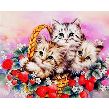 Load image into Gallery viewer, 5D Diamond Painting Cross Stitch Full Round Drill Lovely Cat Diamond Embroidery Mosaic DIY Cross Stitch Kits Wall Art