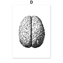 Load image into Gallery viewer, Black And White Brain Heart Skull kidney Anatomy Wall Art Canvas Painting Nordic Posters And Prints Wall Pictures Office Decor - SallyHomey Life's Beautiful