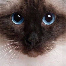 Load image into Gallery viewer, DIY 5D Diamond Painting Cat Eye Cross Stitch Diamond Embroidery Sale Animal Mosaic Rhinestones Full Drill Drill Handmade Decor - SallyHomey Life's Beautiful
