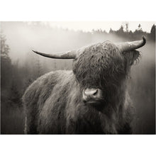 Load image into Gallery viewer, DIY 5D Diamond Painting Animal Highland Cow Diamond Embroidery Cross Stitch Craft Kit Full Round Rhinestone Mosaic Wall Sticker - SallyHomey Life's Beautiful