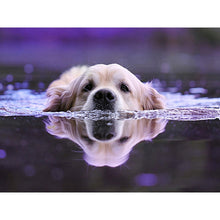 Load image into Gallery viewer, DIY 5D Diamond Painting Animal Diamond Embroidery Golden Retriever Dog Cross Stitch Full Round Drill Picture Mosaic Rhinestone - SallyHomey Life's Beautiful