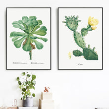 Load image into Gallery viewer, Cactus Sempervivum Flower Plant Wall Art Canvas Painting Nordic Posters And Prints Plants Wall Pictures For Living Room Decor - SallyHomey Life's Beautiful