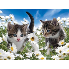 Load image into Gallery viewer, 5D Diamond Painting Cross Stitch Full Round Drill Lovely Cat Diamond Embroidery Mosaic DIY Cross Stitch Kits Wall Art