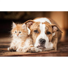 Load image into Gallery viewer, DIY 5D Diamond Painting Dog Diamond Embroidery Farm Animal Cross Stitch Kit Full Round Drill Mosaic Wall Sticker Gift