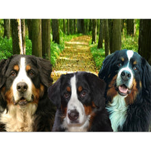 Load image into Gallery viewer, DIY 5D Diamond Painting Bernese Mountain Dog Diamond Embroidered Cross Stitch Kit Animal Mosaic Full Round Rhinestone Decor Home - SallyHomey Life's Beautiful