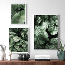 Load image into Gallery viewer, Green Monstera Banana Palm Leaf Wall Art Canvas Painting Nordic Posters And Prints Plants Wall Pictures For Living Room Decor - SallyHomey Life's Beautiful