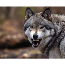 Load image into Gallery viewer, DIY 5D Diamond Painting Cross Stitch Wolf Animal Diamond Embroidery Full Drill Round Mosaic Kit Rhinestones Winter Scenery Art - SallyHomey Life's Beautiful