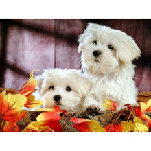 Load image into Gallery viewer, 5D DIY Diamond Painting Dog Diamond Embroidery Animal Mosaic Full Round Drill Cross Stitch Kits Rhinestone Picture Handmade Gift