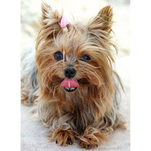 Load image into Gallery viewer, DIY 5D Diamond Painting Dog Diamond Embroidery Sale Mosaic Picture Of Rhinestones full round drill Animal wall Sticker Decor - SallyHomey Life's Beautiful