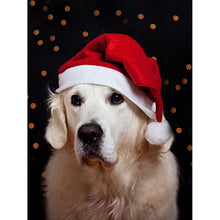 Load image into Gallery viewer, DIY 5D Diamond Painting Golden Retriever Dog Full Round Drill Cross Stitch Diamond Embroidery Animal Mosaic Rhinestones Decor