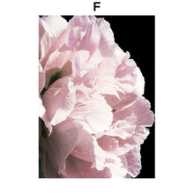 Load image into Gallery viewer, Pink Petal Dahlia Daisy Rose Nature Plant Nordic Posters And Prints Wall Art Canvas Painting Pictures For Home Design Bedroom - SallyHomey Life's Beautiful