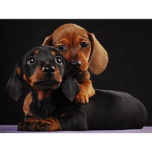 Load image into Gallery viewer, DIY 5D Diamond Painting Dog Diamond Embroidery Cute Dachshund Dogs Animal Mosaic Cross Stitch Full Round Rhinestone Decor Home - SallyHomey Life's Beautiful