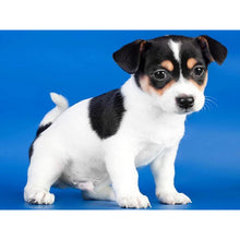 Load image into Gallery viewer, DIY 5D Diamond Painting Dog Cute Pet Cross Stitch Diamond Embroidery Animal Mosaic Full Drill Round Rhinestone Decor Home - SallyHomey Life's Beautiful