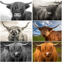 Load image into Gallery viewer, 5D DIY Diamond Painting Highland Cow Full Round Drill Rhinestone Diamond Embroidery Animal Mosaic Cross Stitch Kits Decor Home - SallyHomey Life's Beautiful