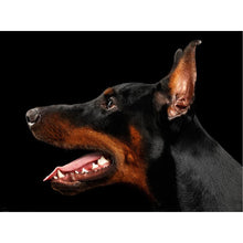 Load image into Gallery viewer, DIY 5D Diamond Painting Dog Mosaic Full Round Drill Cross Stitch Diamond Embroidery Rottweiler Animal Rhinestones Wall Sticker - SallyHomey Life's Beautiful