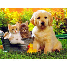 Load image into Gallery viewer, DIY 5D Diamond Painting Animal Diamond Embroidery Golden Retriever Dog Cross Stitch Full Round Drill Picture Mosaic Rhinestone - SallyHomey Life's Beautiful