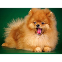 Load image into Gallery viewer, DIY 5D Diamond Painting Dog Diamond Embroidery Animal Cross Stitch Full Round Drill Rhinestone Picture Mosaic Manual Hobby Gift