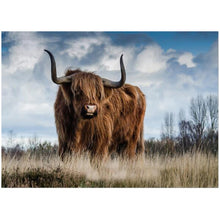 Load image into Gallery viewer, DIY 5D Diamond Painting Animal Highland Cow Diamond Embroidery Cross Stitch Craft Kit Full Round Rhinestone Mosaic Wall Sticker - SallyHomey Life's Beautiful