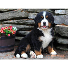 Load image into Gallery viewer, 5D Diamond Painting Dog Cute Pet Cross Stitch Animal Diamond Embroidery Mosaic Full Round Drill Rhinestone Decor Home - SallyHomey Life's Beautiful