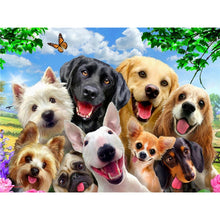 Load image into Gallery viewer, DIY 5D Diamond Painting Farm Animal Cat Diamond Embroidery Mosaic Rhinestone Full Round Drill Cross Stitch Kits Decor Home