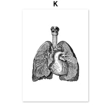 Load image into Gallery viewer, Black And White Brain Heart Skull kidney Anatomy Wall Art Canvas Painting Nordic Posters And Prints Wall Pictures Office Decor - SallyHomey Life's Beautiful