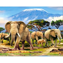 Load image into Gallery viewer, DIY 5D Diamond Painting Elephant Animal Diamond Embroidery Cross Stitch Kits Full Round Drill Mosaic Rhinestones Home Decor Gift