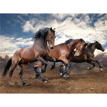 Load image into Gallery viewer, DIY 5D Diamond Painting Horse Animal Full Round Drill Cross Stitch Diamond Embroidery Mosaic Picture Rhinestones Home Decor - SallyHomey Life's Beautiful